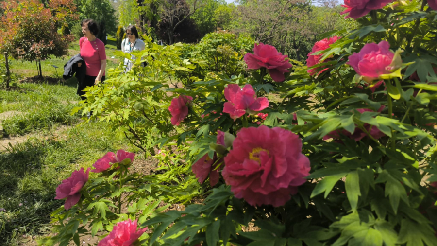 Program nou la Grădina Botanică și Grădina Zoologică