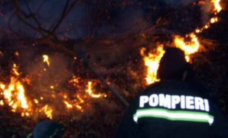 Incendiu de pădure şi vegetaţie uscată în Masivul Penteleu