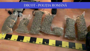 Dornici de îmbogăţire, s-au apucat de afaceri ilegale