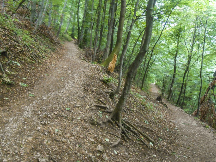 ITINERARII/ Cele mai frumoase TRASEE MONTANE din România. Sunt accesibile tuturor! (FOTO)