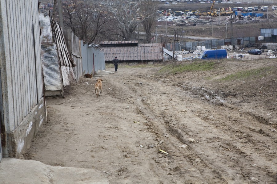 GALERIE FOTO / În Fileşti, fără iluminat public: Strada Vasile Cârlova, drumul hoţilor