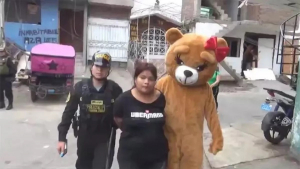 Traficantă arestată de un polițist deghizat în urs de pluș