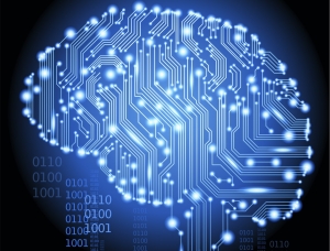 Creierul uman/ Ar putea stoca internetul întreg în memorie