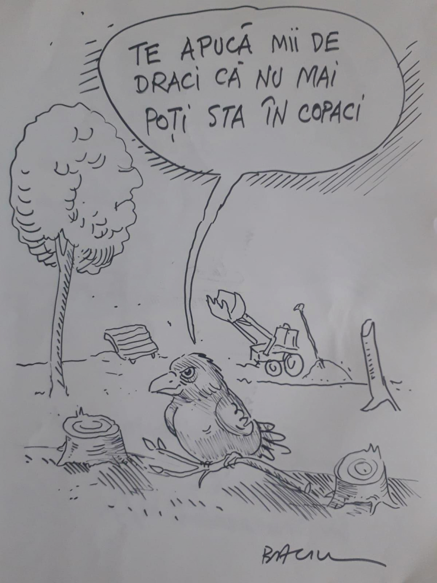 Baciu la (n)oi