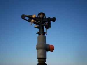 Doar trei la sută din suprafaţa cultivată în judeţul Galaţi este irigată