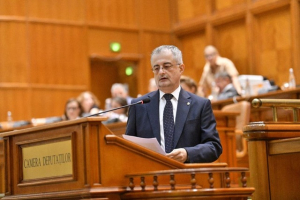 Social-democrații, acuzați de plagiat de către liberali