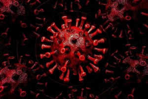 Primul caz de infectare cu noua tulpină africană a coronavirsului confirmat în Europa