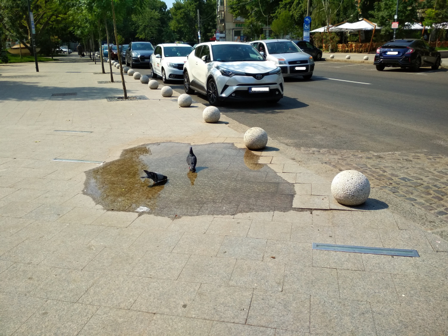 Pentru ce cumpără Primăria Galați 200 de bolarzi