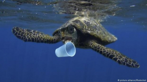 UE interzice folosirea plasticului
