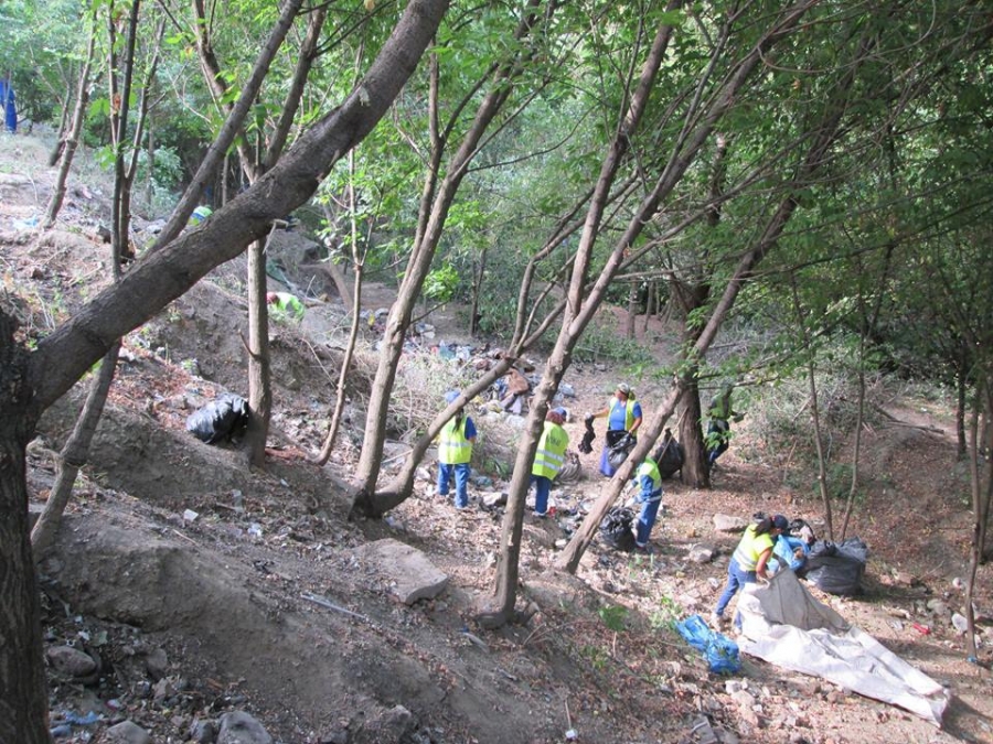 Din groapă de gunoi, loc de relaxare/ Păduricea de la Stadionul "Dunărea", ecologizată (FOTO)