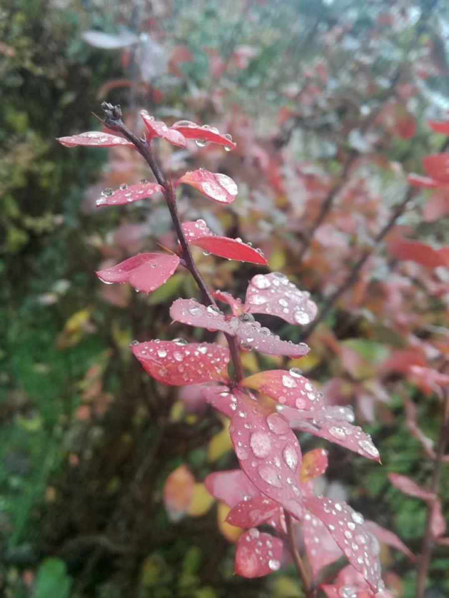 PROGNOZA METEO | Cum va fi vremea, în acest WEEKEND, la Galați