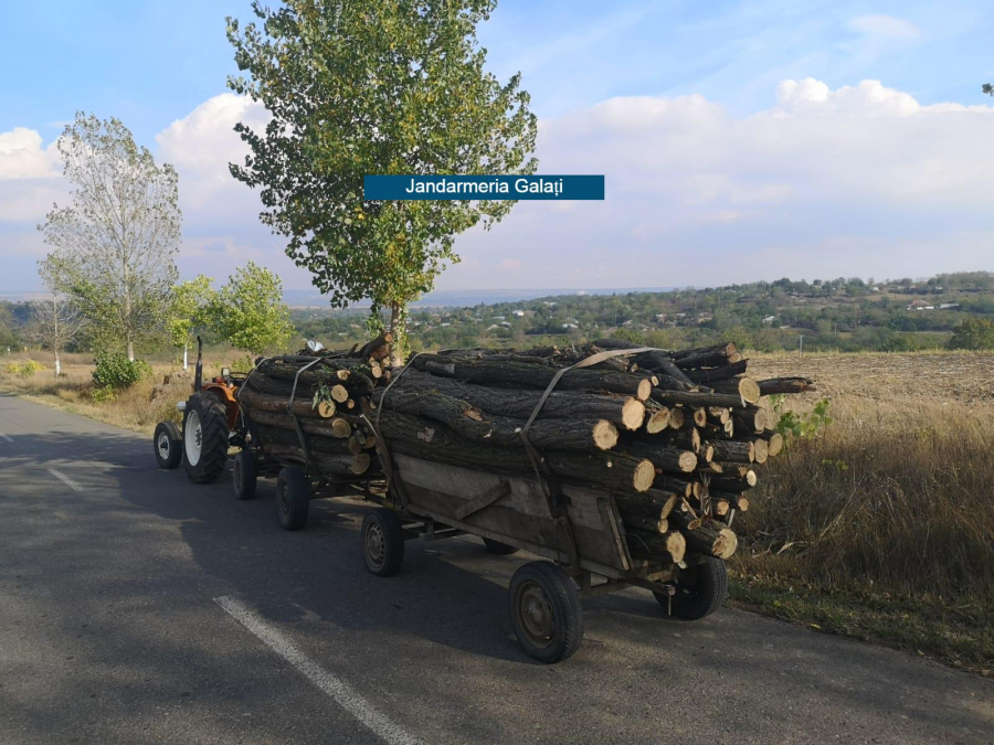 Transporturi de lemne, neînregistrate în evidențe
