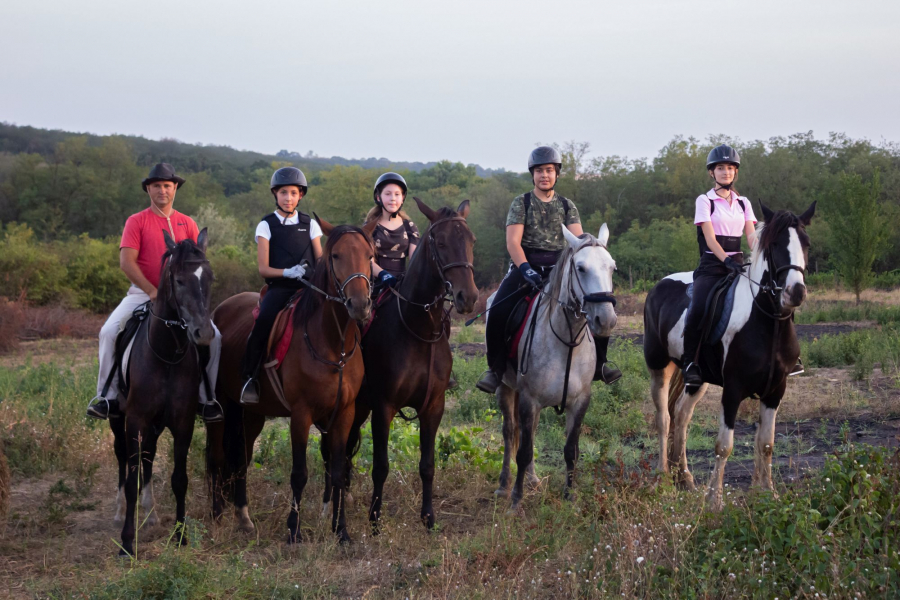 Şase cai frumoşi şi un mânz năzdrăvan. Şcoala de echitaţie ”Descoperim natura călare - Galaţi” (FOTO)