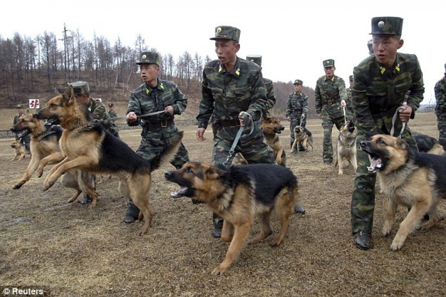 VIDEO / Un nou film de propagandă al Phenianului arată câinii armatei atacând un ministru sud-coreean  