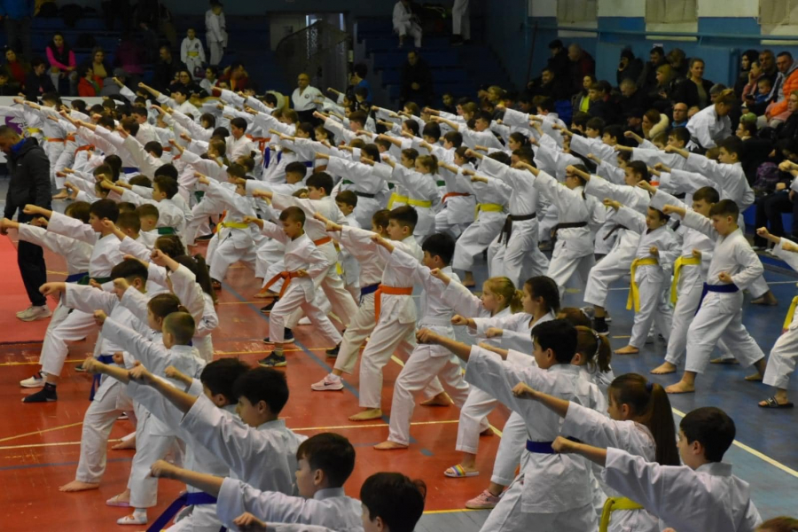 La Galați, Festivalul micilor karateka