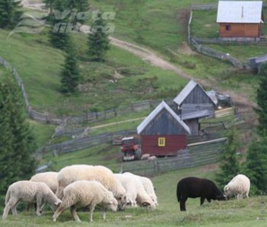 Fără dublă finanţare în turismul rural