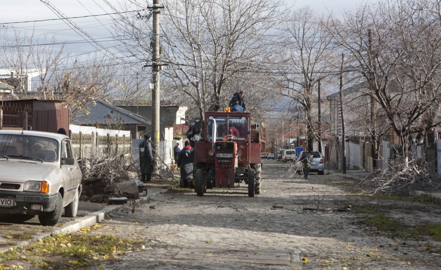 Rămăşiţele copacilor nu vor mai fi tocate: Municipalitatea îşi cumpără utilaj de scos cioate