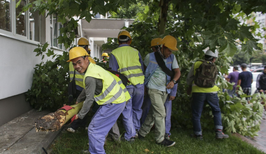 În timp ce gălăţenii aşteaptă ajutoare sociale sau emigrează, PIAȚA MUNCII este invadată de vietnamezi şi pakistanezi