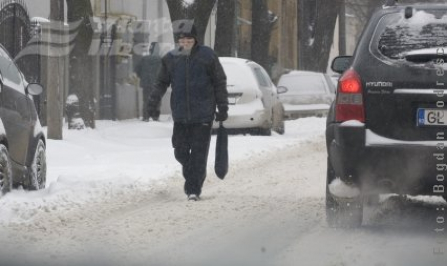 Un pui de iarnă care ne bagă gheaţă-n roate