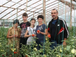 Raiul familiei Lupoaie. Drumul complet al roşiilor cu suflet