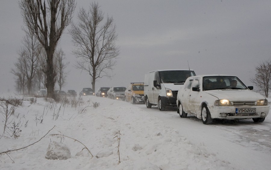 VINE ZĂPADA, dar stăm prost la prevenţie: PERDELE FORESTIERE doar la nivel de discuţie