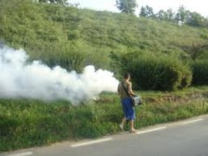 Cetăţenii acuză, municipalitatea răspunde: Cine omoară ţânţarii din spatele blocului?