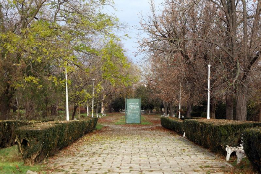 Cine modernizează Parcul „Carol”