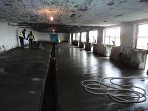 Pentru a împiedica luptele: Cuşti noi pentru câinii de pe Zimbrului