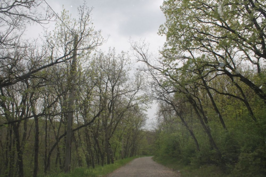 IATĂ când va fi gata MUZEUL PESCĂRESC, din Pădurea Gârboavele