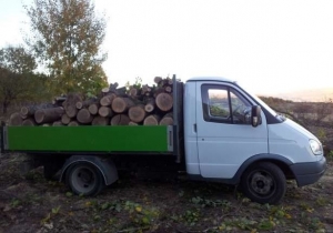 Încă un transport de lemne ILEGAL a fost interceptat pe teritoriul judeţului Galaţi