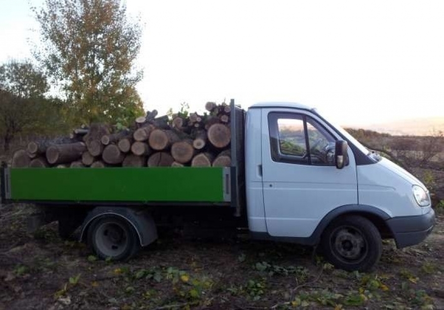 Încă un transport de lemne ILEGAL a fost interceptat pe teritoriul judeţului Galaţi