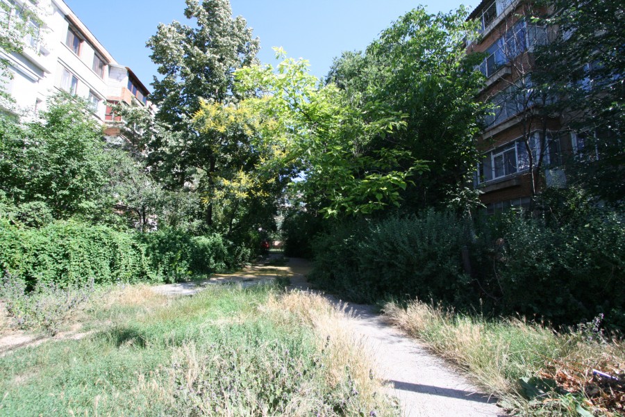 Nu-ţi trebuie facultate ca să tunzi iarba!