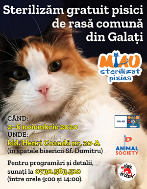 Prima campanie de sterilizare gratuită a pisicilor din Galaţi