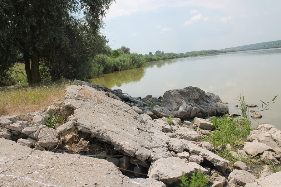 RĂZBOI păgubos pentru "Patria Crapului". Cine rămâne cu BALTA de la Vlădeşti? (FOTO)