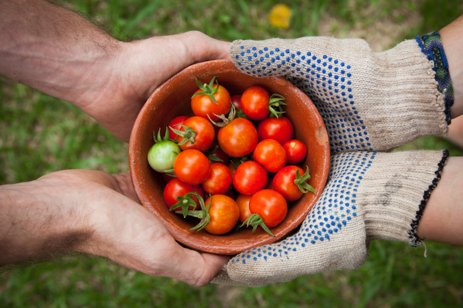 Agricultura și industria alimentară, pe lista „scurtă” a PNRR