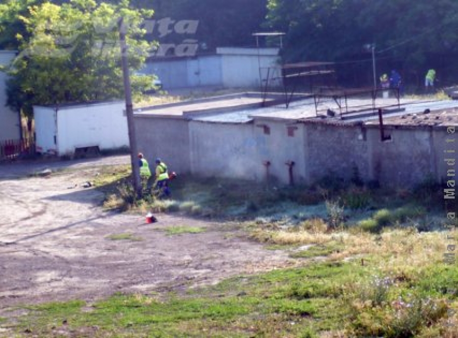 Pe timp de criză, se taie frunza   