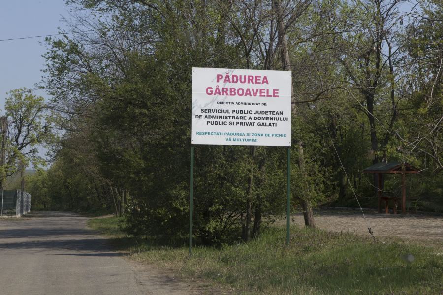 Parc de aventură, în Pădurea Gârboavele