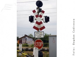 În amintirea lui Dorel
