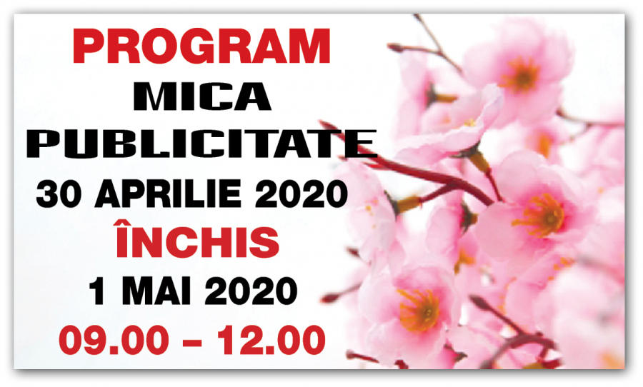 PROGRAM Mica Publicitate