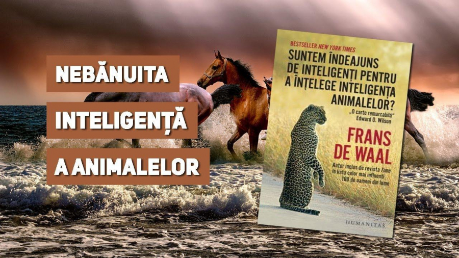 Suntem îndeajuns de inteligenţi pentru a înţelege inteligenţa animalelor?