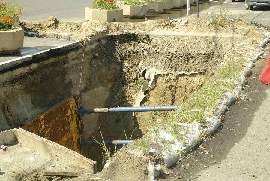 Doar iarba mai poate acoperi găurile oraşului! Bălăriile au invadat groapa de pe Faleză