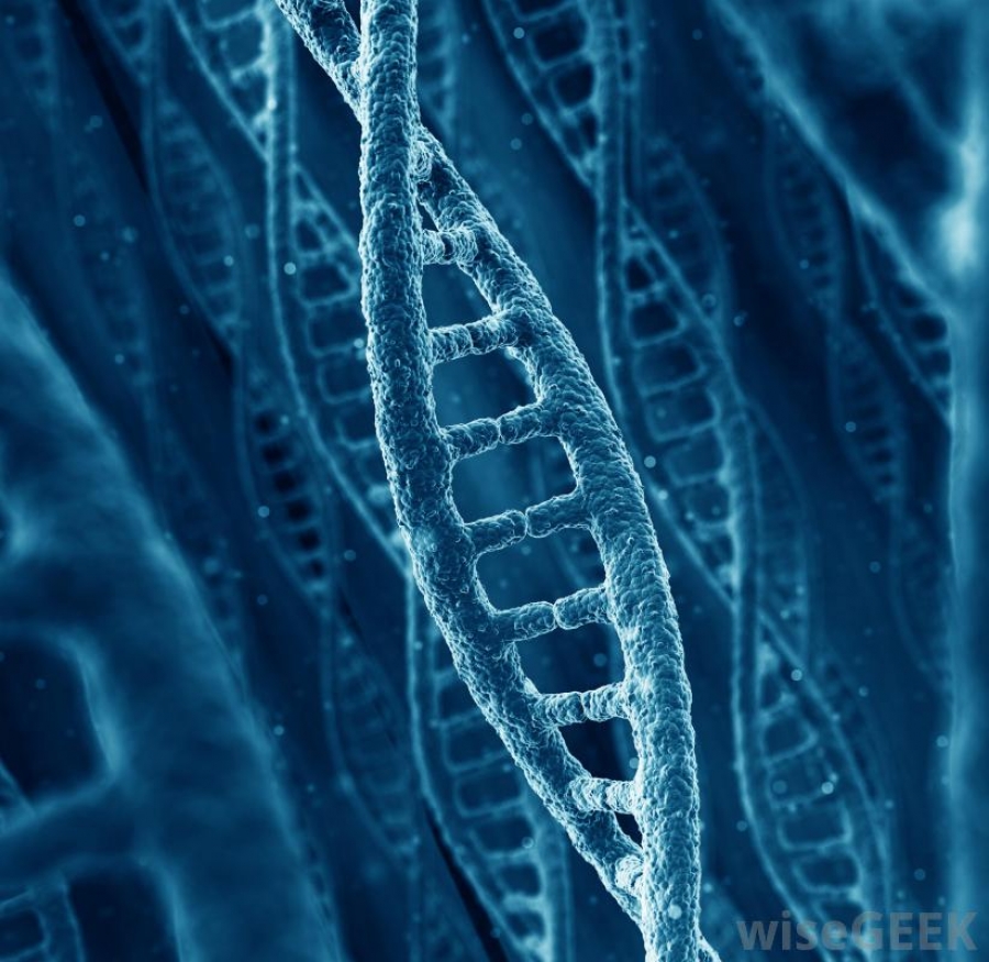Metoda CRISPR | Tehnologia incredibilă care modifică genele