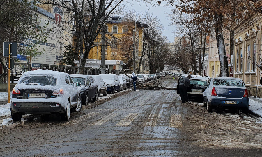 PERICOL. Zeci de copaci au fost doborâţi de vânt în Galaţi