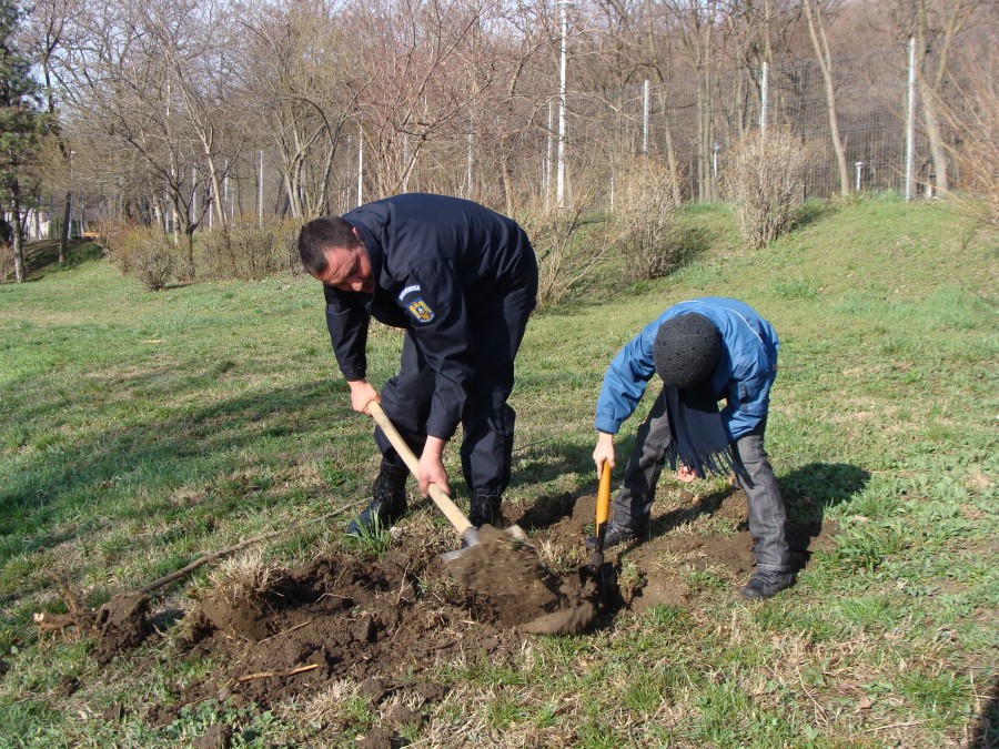 Ajutaţi de copii, jandarmii au făcut alee de platani pe Faleză