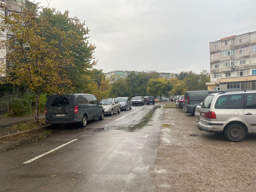 Talciocul, bucurie doar pentru iubitorii de chilipiruri