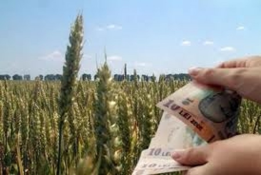 Autorizare la plată - Subvenţii în agricultură