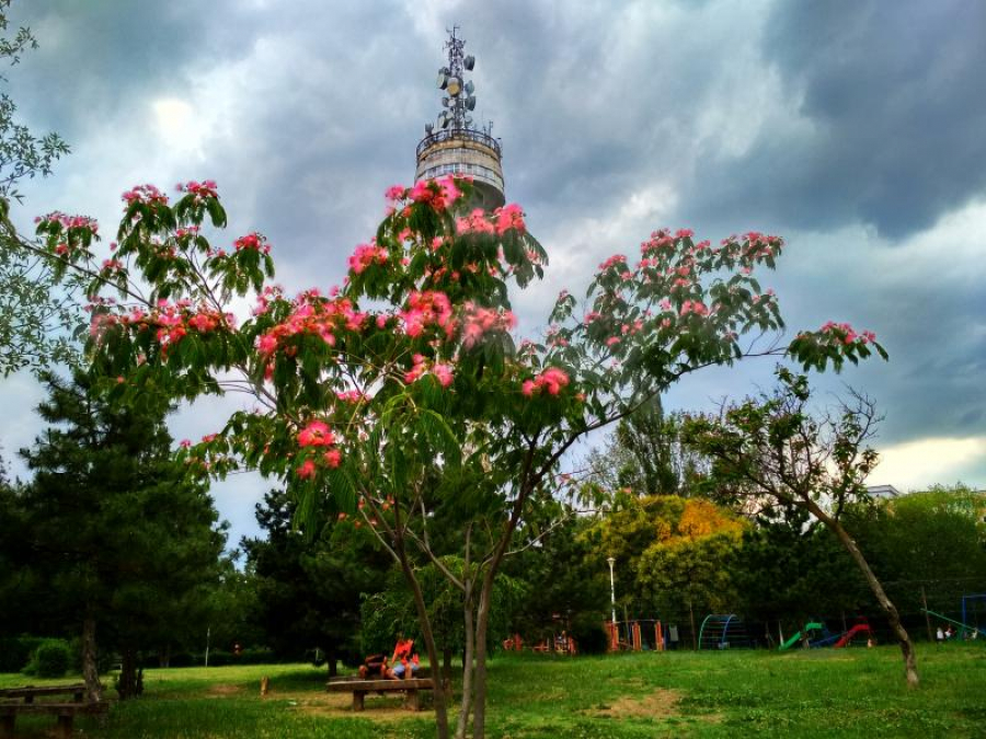 Turnul TV trebuie transformat în atracție turistică