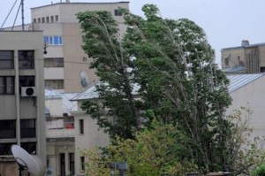 Vântul face ravagii în Galaţi. Buciumeniul, fără energie electrică