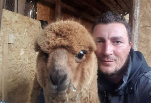 Fetele de la Alpaca și lama de ras