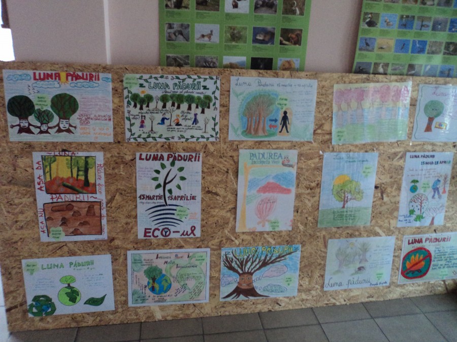 Expoziţie de planşe pe tema pădurii la Direcţia Silvică Galaţi